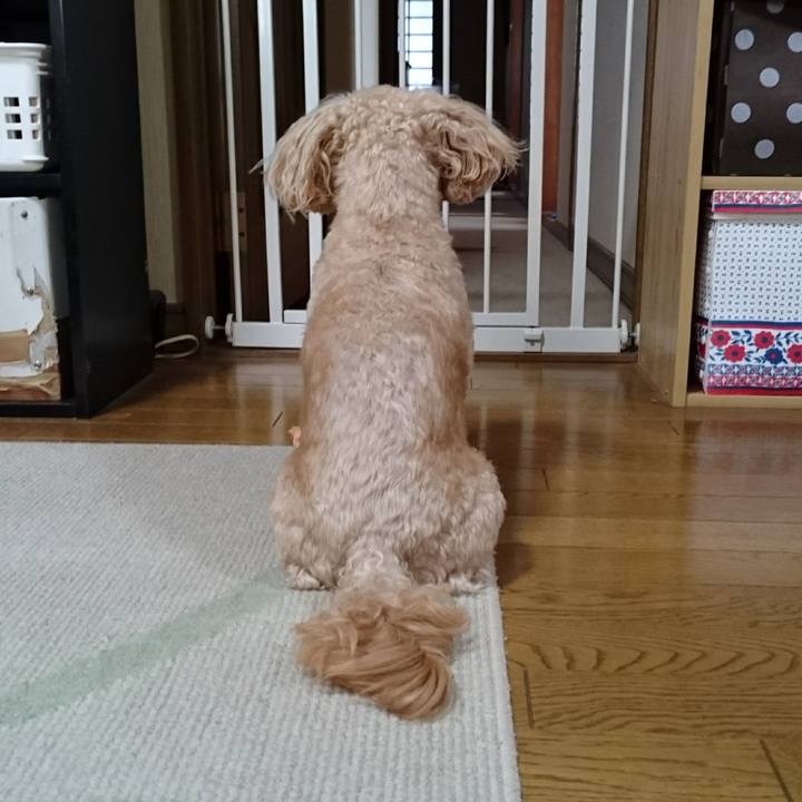 8f0c03d4 cb58 4200 8431 b0851d5edf1d 1526789025659