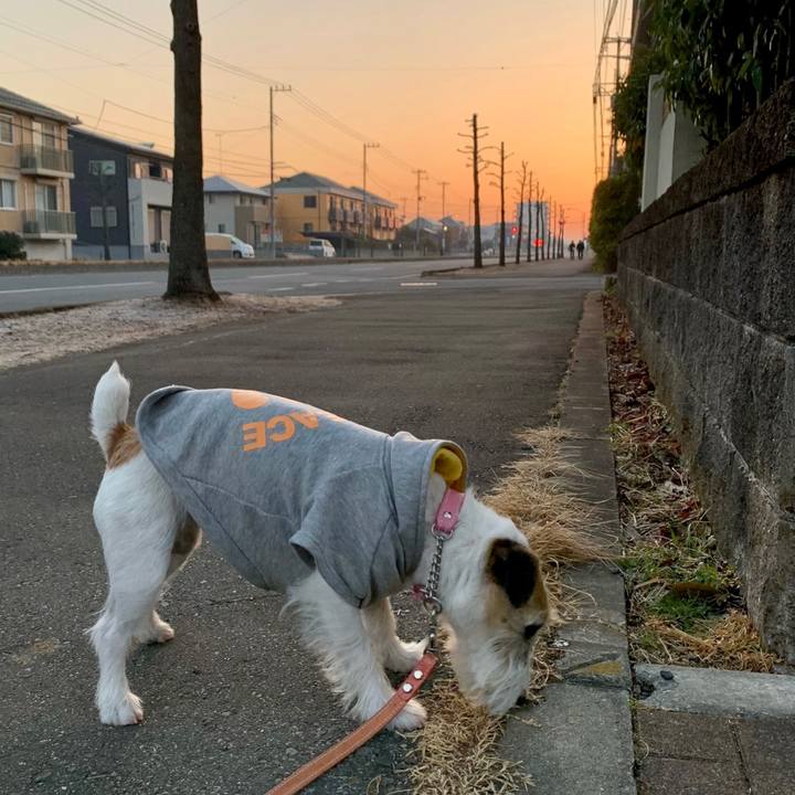 8f0c0be2 cb6f 41a5 a7a2 e0f47f1cf413 1676693393835