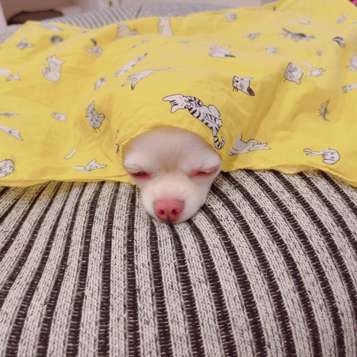 8f0c321f d1ed 4156 9c74 41ce9cd27f9a 1691997299809