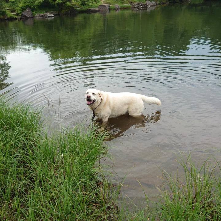 8f0c4284 30bc 40a4 b239 023e0cdf0700 1751422894770