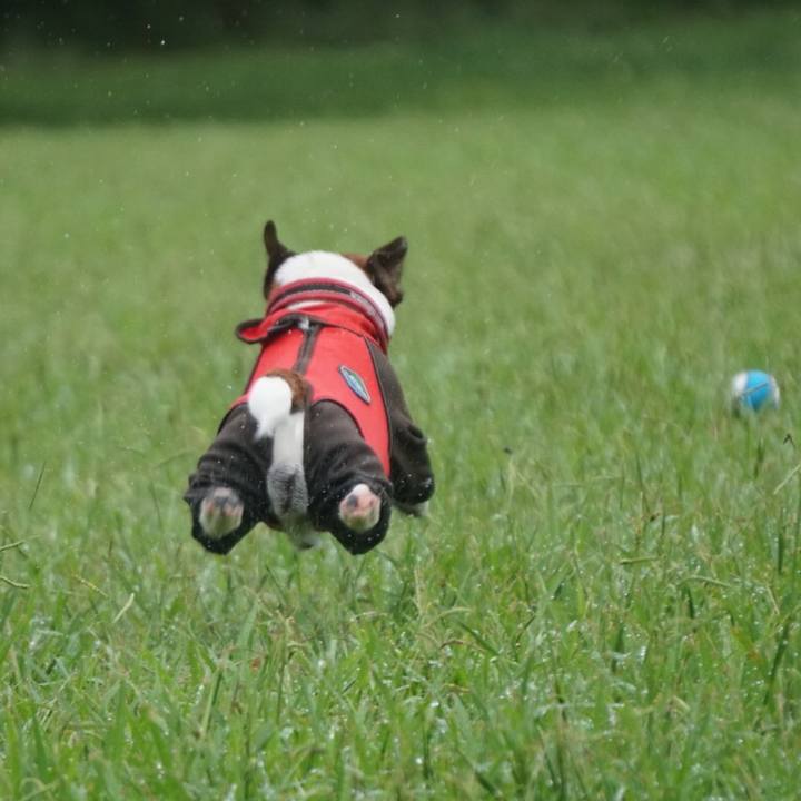 8f0c5b04 e69d 4df3 abde 6615aeaeefa4 1538001927403