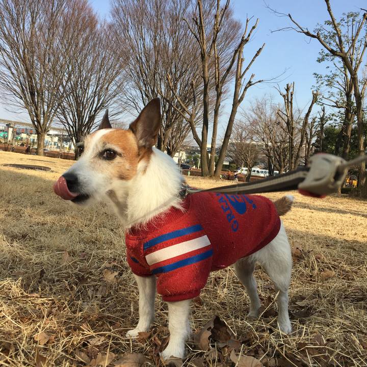 8f0cb4fe 3624 421f 8a66 4b2f449ac02f 1612740005651