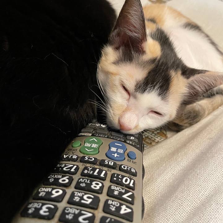 8f0cd519 cc0b 4bce b0f9 3d0f7e2e5eb3 1660528807152