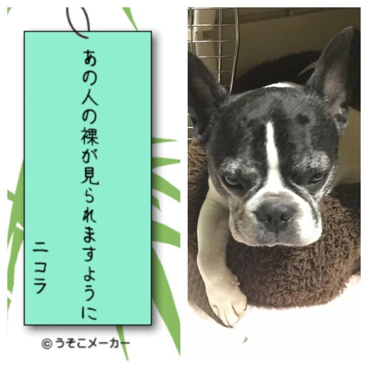 8f0cd77a a897 4c76 8d6c 8baf9964dfa7 1562504127915