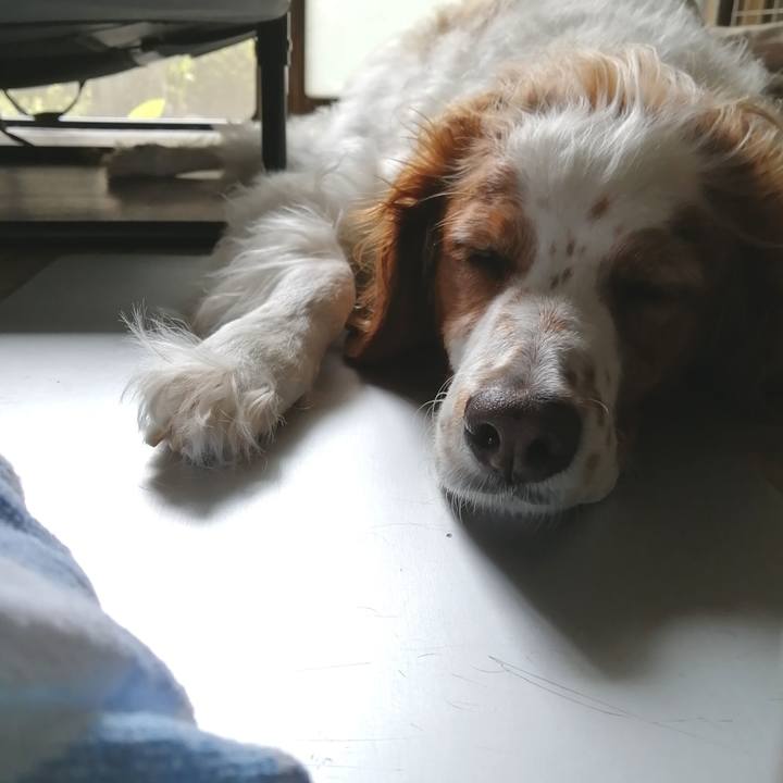 8f0ceed1 011e 4299 9a3b 0991ed54ec05 1596678226942