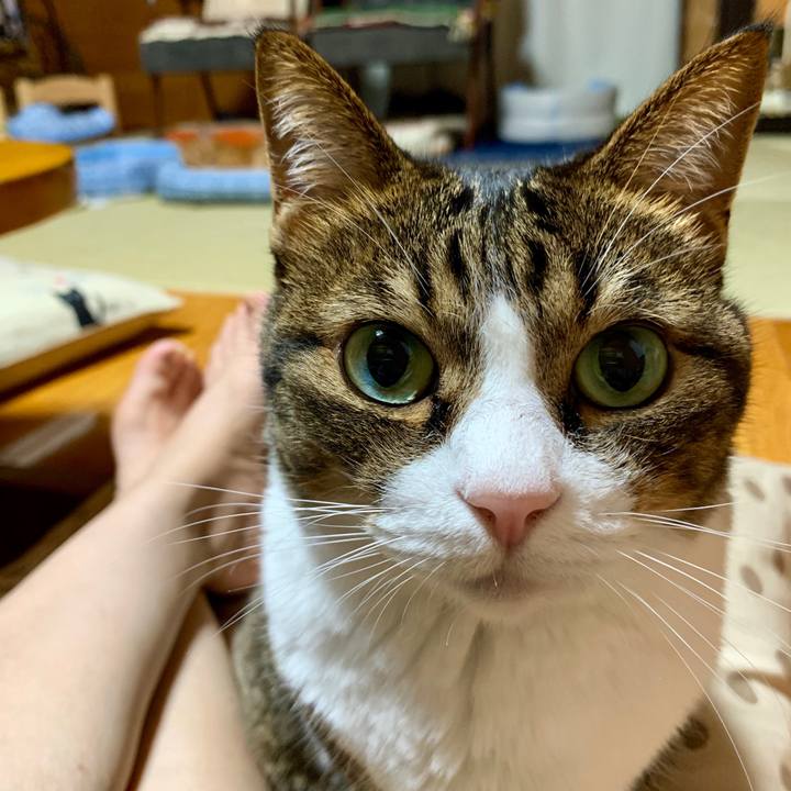 8f0cff4c 16a8 4f95 abbb cf003381213e 1566905183592