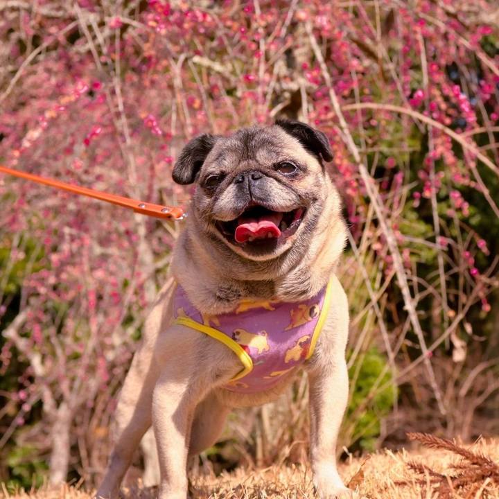 8f0d26de b8a6 4f23 a5da 73bb800f693e 1771157333485