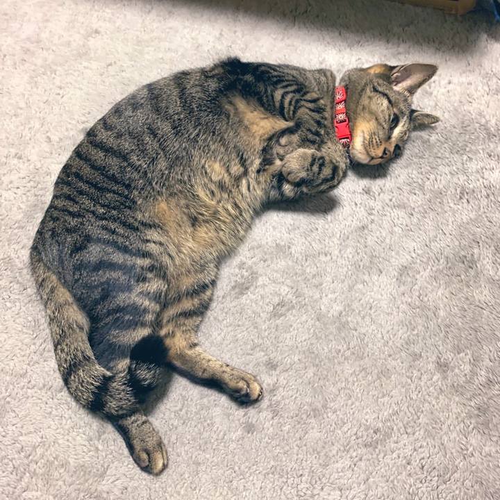 8f0d5b56 69c4 46a1 bc81 7f2760ed2d39 1575291774632