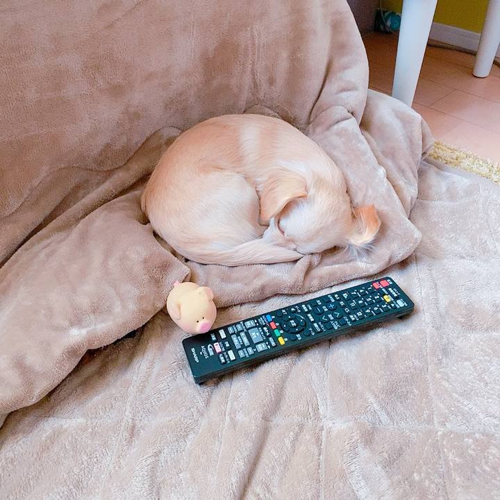 8f0d6218 20ec 451a bc97 47dde8016200 1612926535991