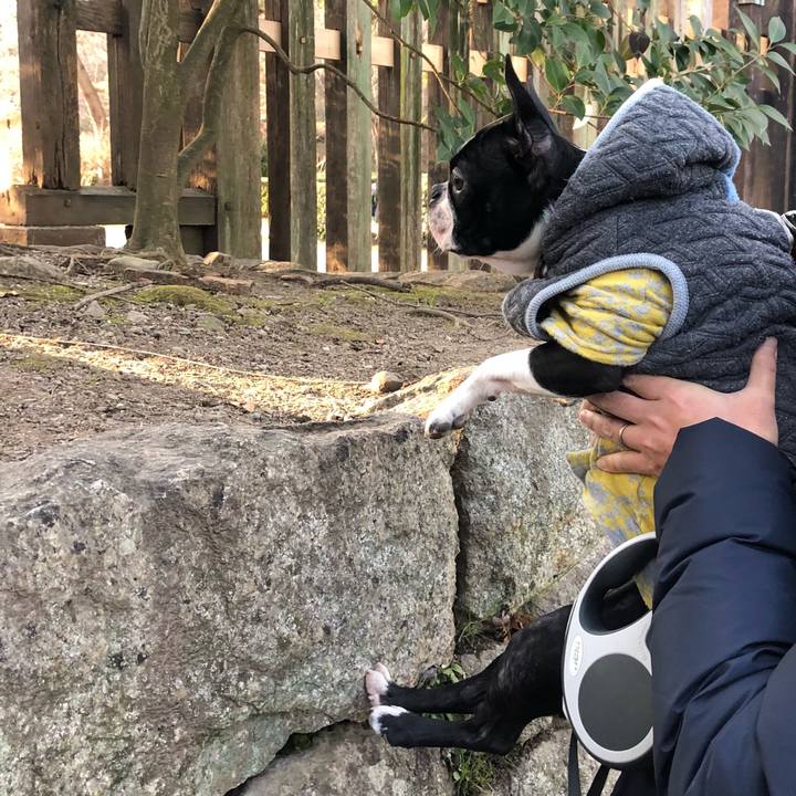 8f0d7707 b0d7 4ef3 bd21 573db4fbc983 1519350527552