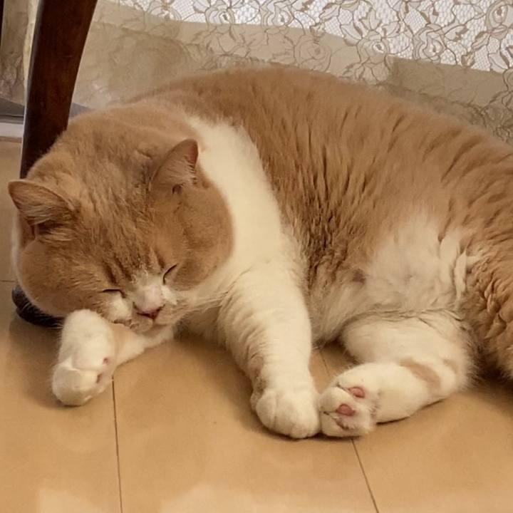 8f0dc1df 5167 40e1 b0a1 7f67f33b65ef 1634023344155