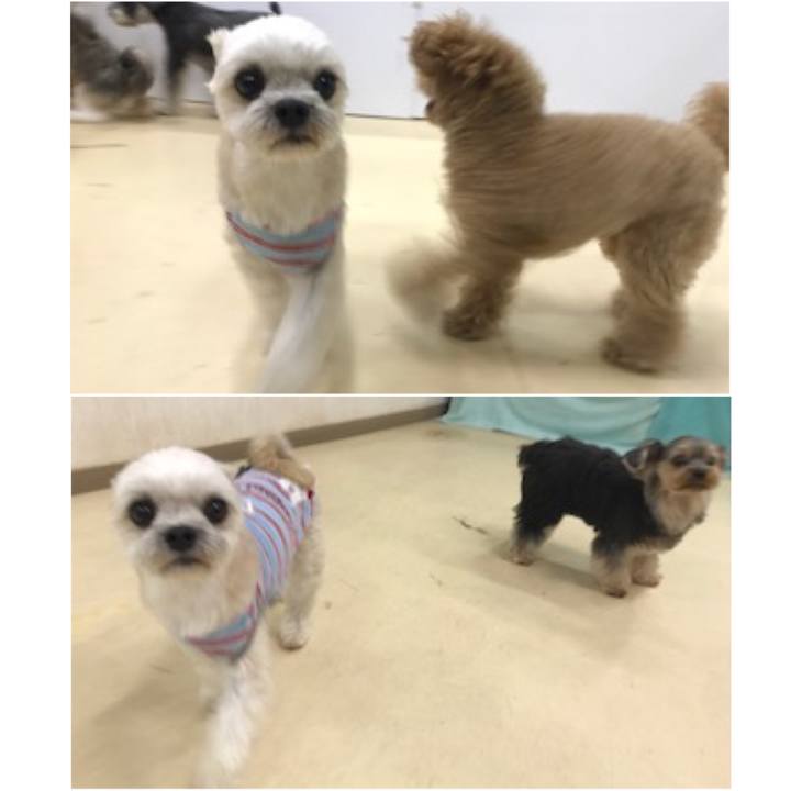 8f0ddc68 a196 4544 ac43 614cd150b66d 1572344533958