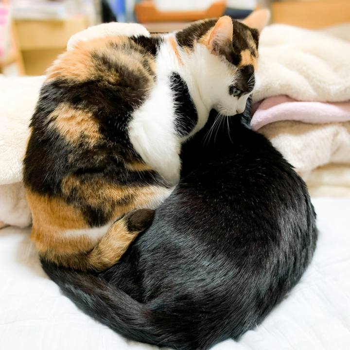 8f0de30e ec9d 434b b498 545b141546cc 1587950389614