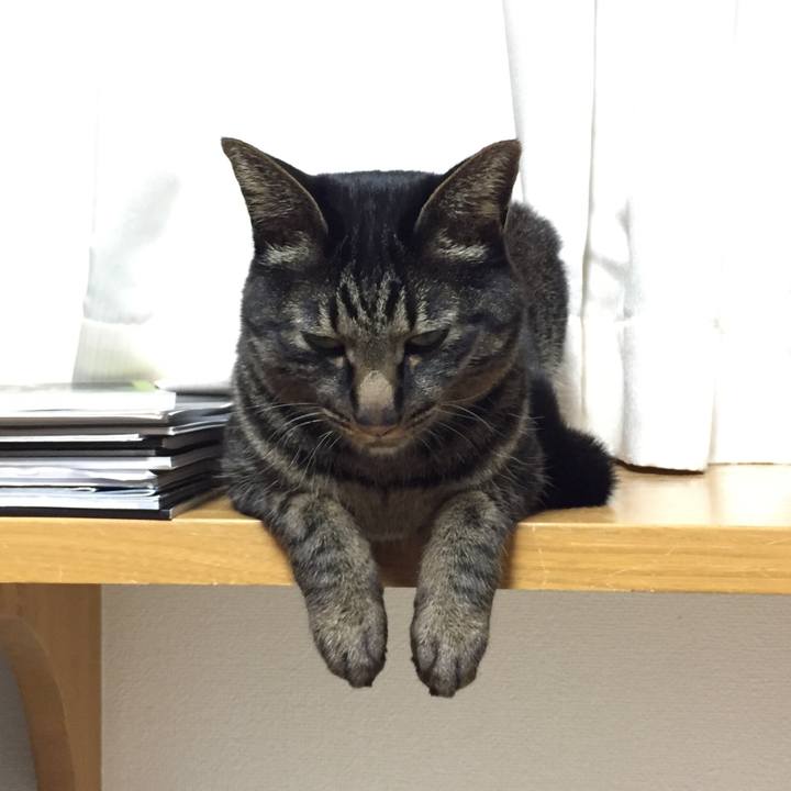 8f0df70b f69d 46d6 ad17 693bffb372f2 1524402956766