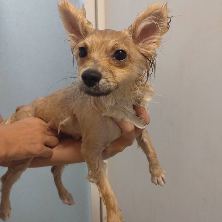 8f0dfcb7 ad16 42b7 9103 fb35f8d91a9f 1727392641857