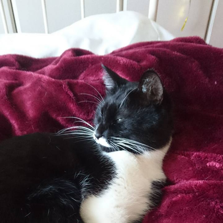 8f0e14ce 637b 40ec a88e 276c8e9c79a5 1512442797796