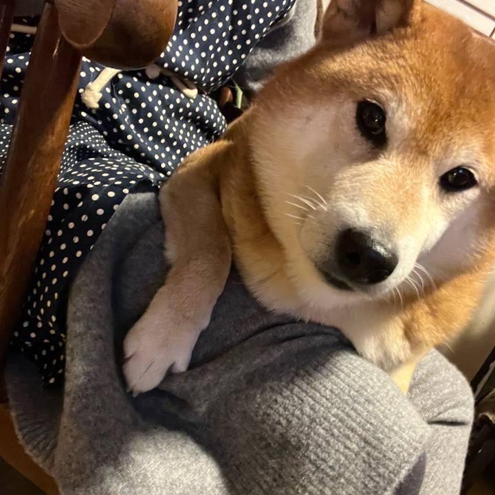 8f0e2eb6 783e 489d a7fa 828078252b91 1638761475747