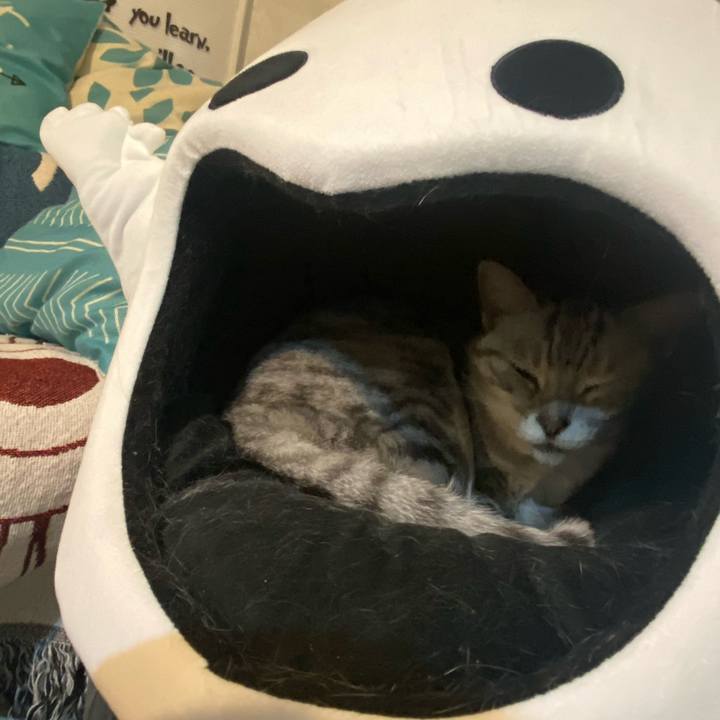 8f0e5906 ca27 41ac b6ec 2616035a9642 1736557251468