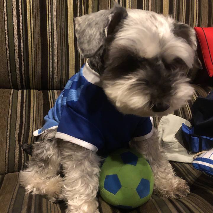 8f0e6d7b 506e 4708 aa41 b4694ce4e70e 1558092133250