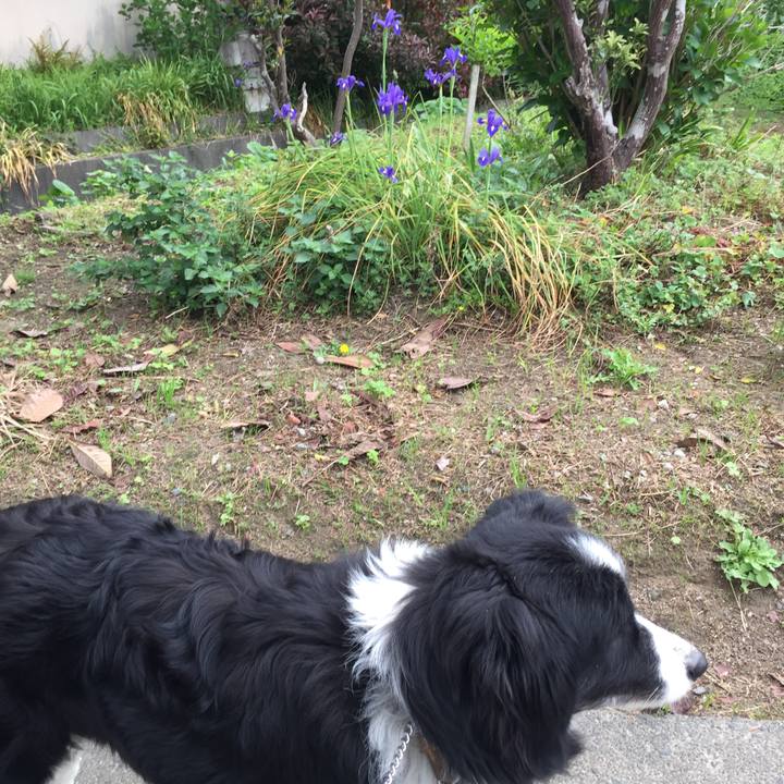 8f0e7fed 1f26 47d3 9ff4 9fa81d948a47 1556240505101