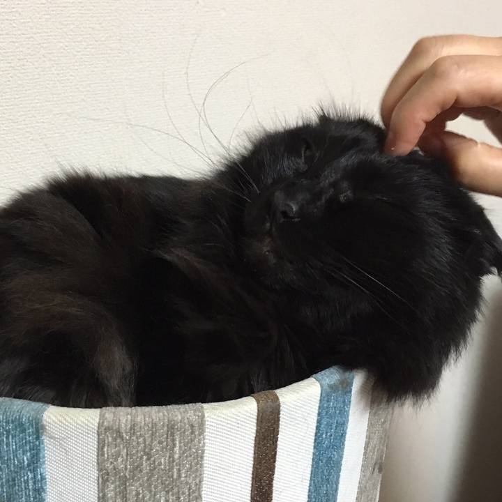 8f0ecc80 e98d 408e 80a2 2f410123c392 1513257417179