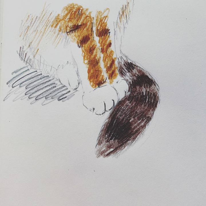 8f0ed0f1 4fc5 43d1 9b6a 3445ed9170ff 1590362321891