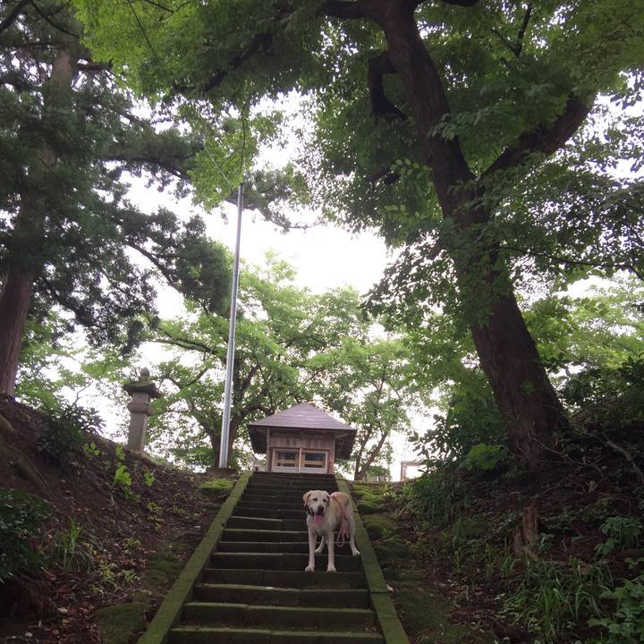 8f0ee0f8 a170 4aca b4e2 d6dc823b77f7 1567249425678