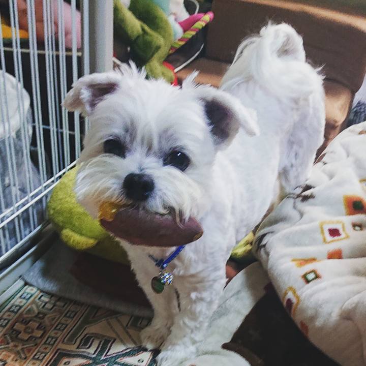 8f0ee372 3576 4bd4 a45b fd5f91e4a2c1 1667625141706