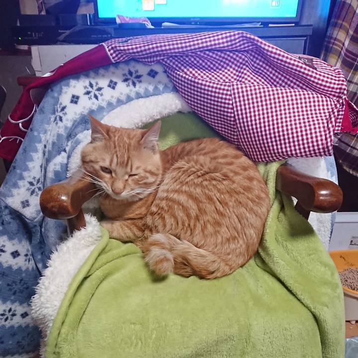 8f0f6126 d5b6 4103 b3a0 680c80b32a6d 1649060288186