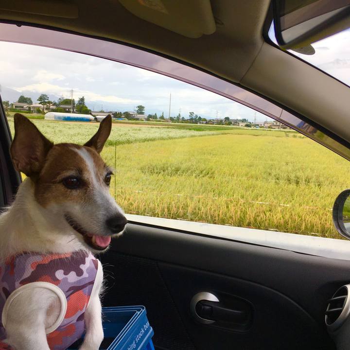 8f0f8926 008c 401b 89ba ac538ef1714e 1599958258310