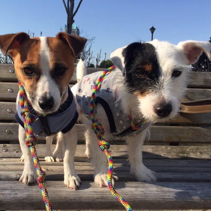 8f0f931e 8666 4cf7 9f44 b5192de4e95b 1641611169694