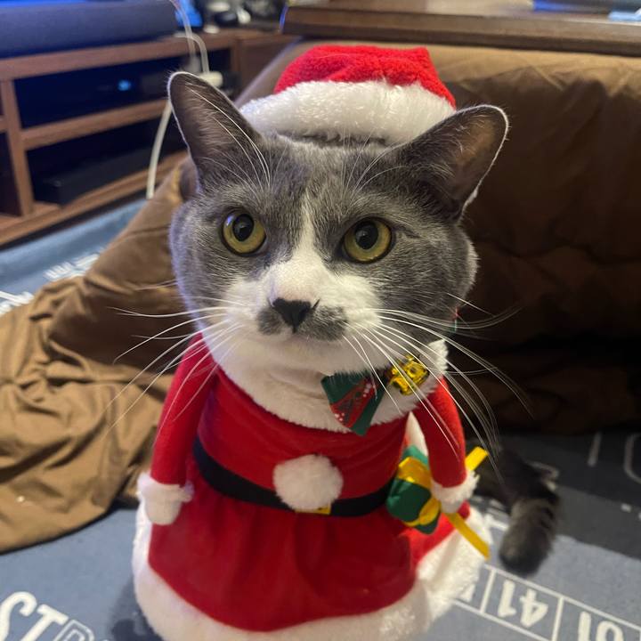 8f0fc06c 293c 4fb5 a800 ac34b559a1f5 1703418172573