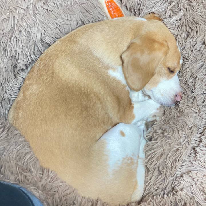 8f0fd20e 80de 4e3a 8a41 d5a1f7ed1afc 1613910371581