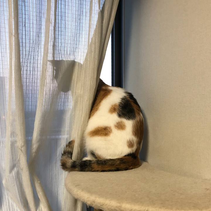 8f0ffe55 d513 4671 8215 41063769d8a5 1591611045098