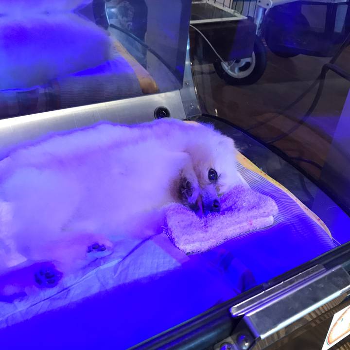 8f1020fb 4b3e 4241 85d6 09d33d9e94cb 1536688115552