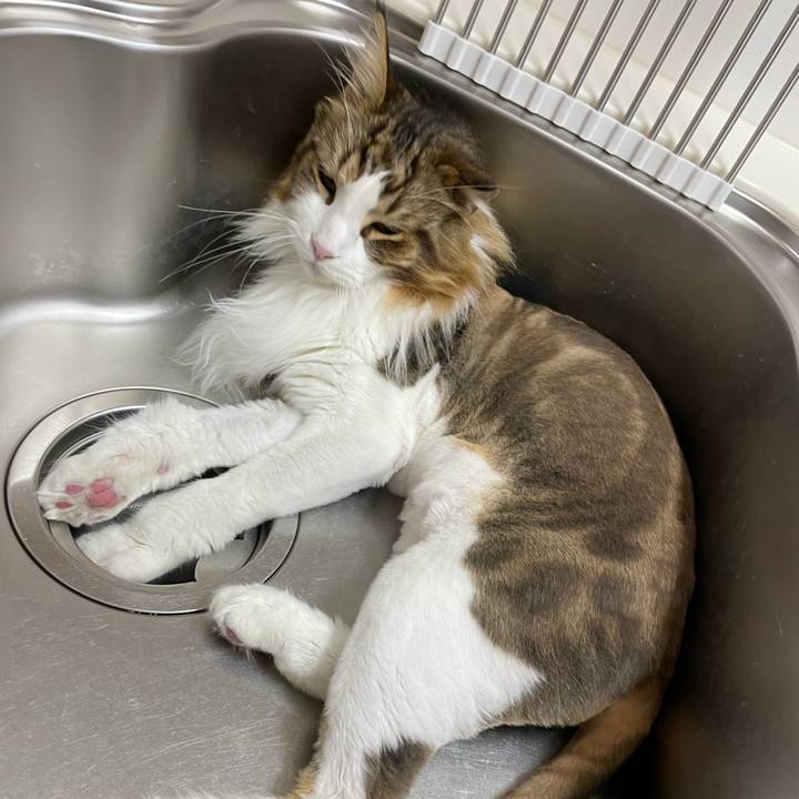 8f106215 a342 4a9a acba 99c34cb5395b 1687807964709