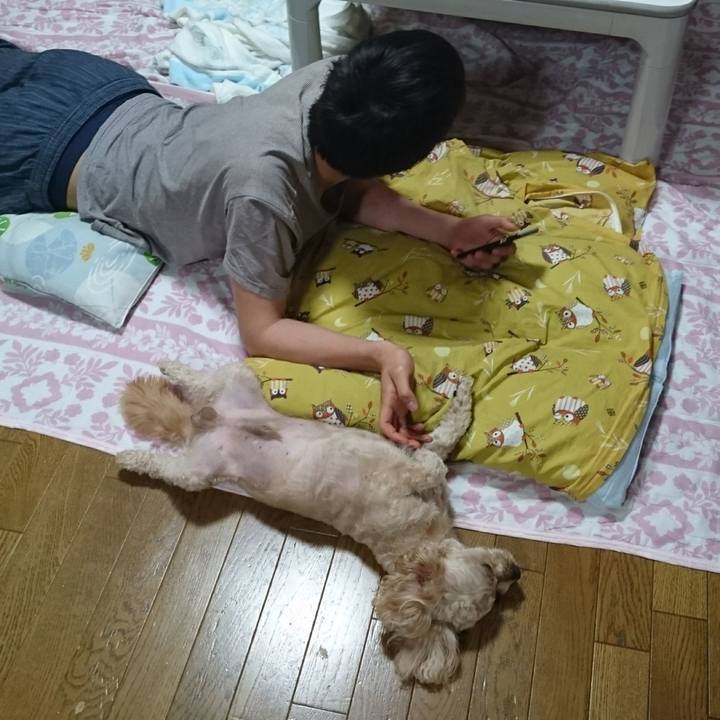 8f106354 afa4 4133 877d 92effcdab08c 1563017967091