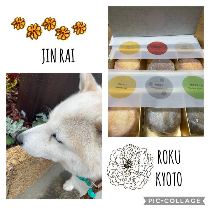 8f1065b4 c0a4 4092 9631 bbe4dedc3c84 1647263367709