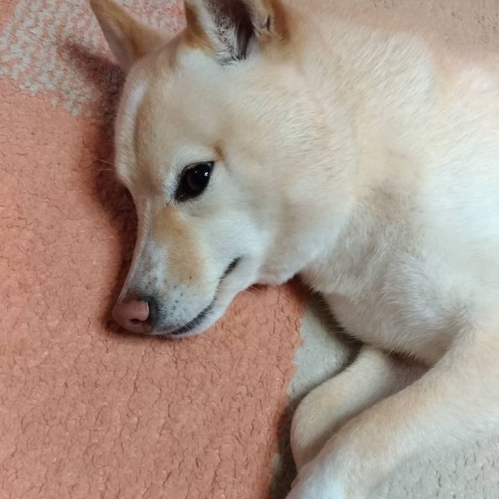 8f108820 e7b5 4cfe bcd6 eed1a1d9cd68 1579086635957