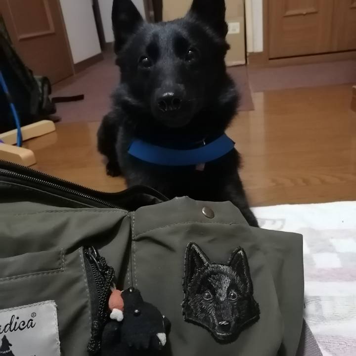 8f109f4f 3931 4f38 bb80 5385bf1358ca 1613772909717