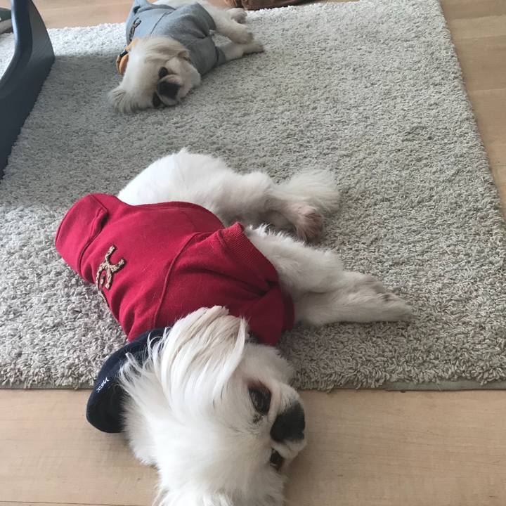 8f10b6b4 1c88 4362 aabc 0114d835e2bc 1522295594735