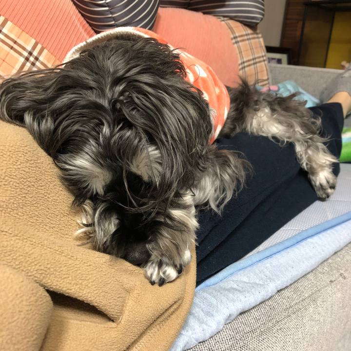 8f110e80 de4d 47b4 92e2 7dd1bda21436 1702907965300