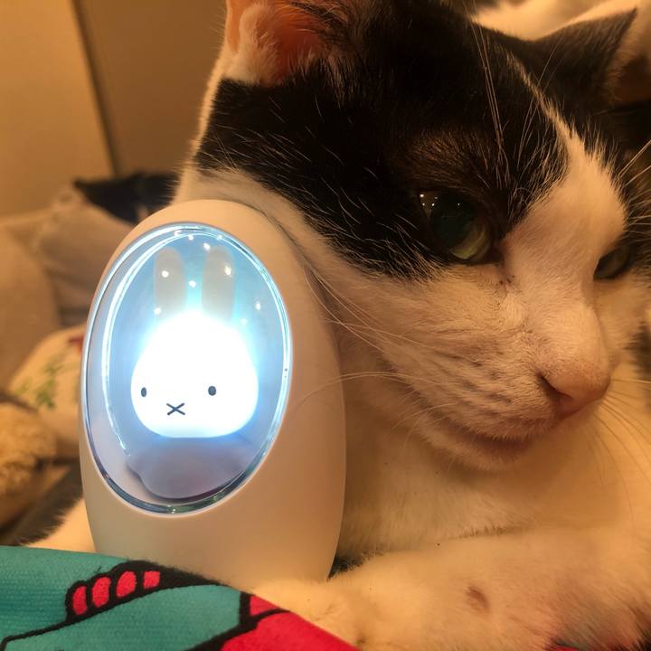 8f111f31 a2b7 43c4 ac62 d659aba9d79f 1667256942999