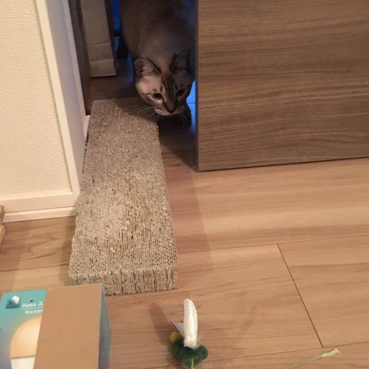 8f11559a a2b3 40f8 8865 140ab5f8840b 1567415351721