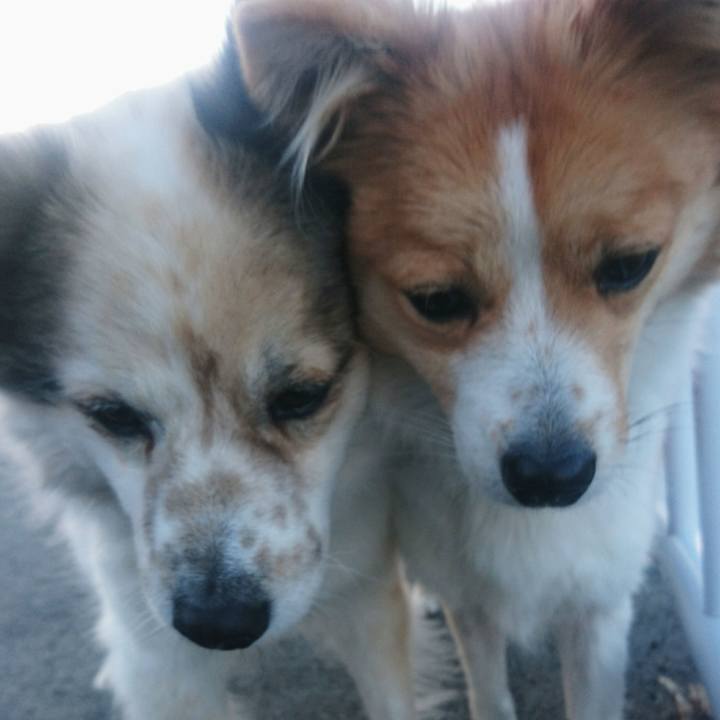 8f1157a2 6164 427b acd9 721620ca5c14 1546081546005