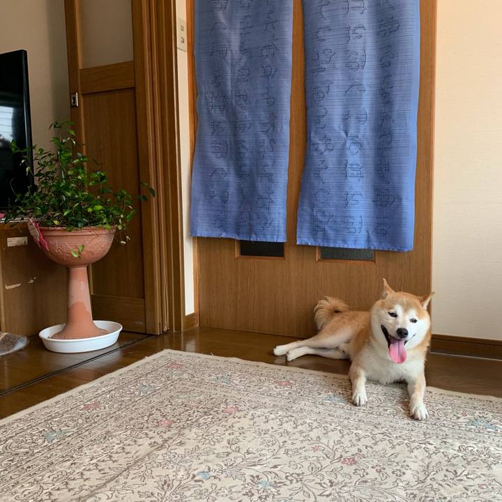 8f119c1b 6e33 4d30 a232 447d63749dda 1656576972170