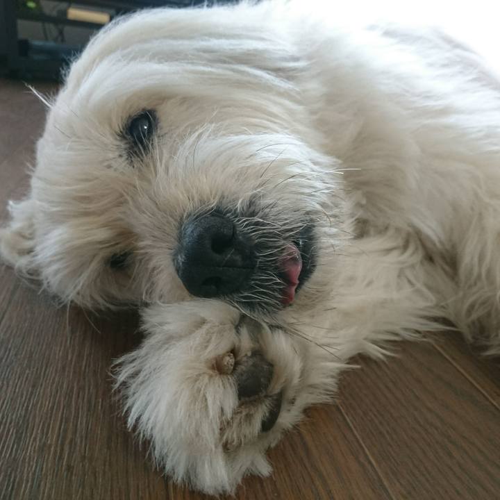 8f11f338 c468 43fa 877c 4488b6a8870a 1583662040725