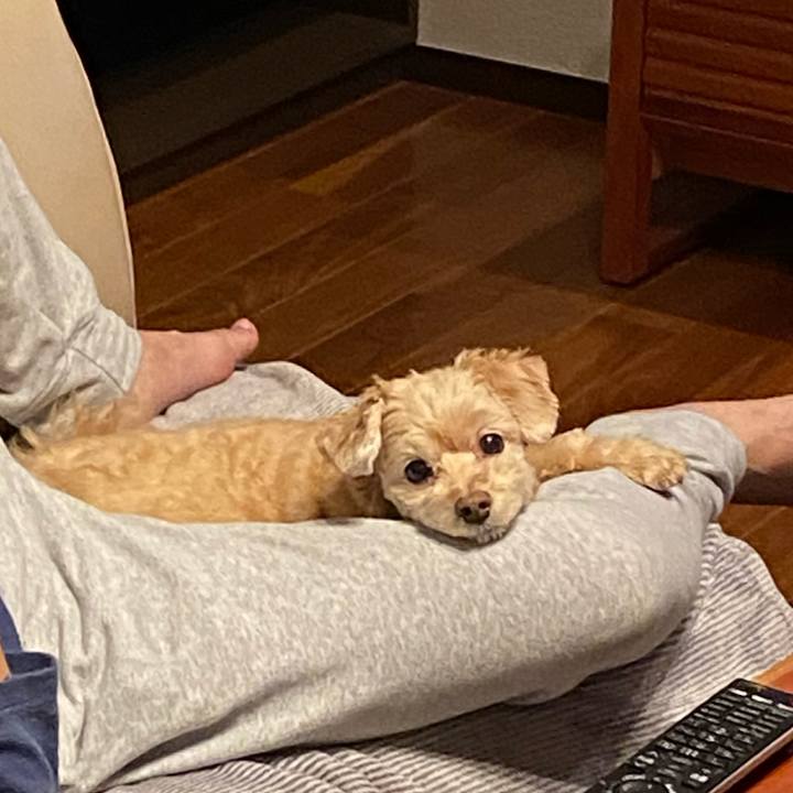 8f120777 239a 409e be60 5023dfe21a0e 1603971605650