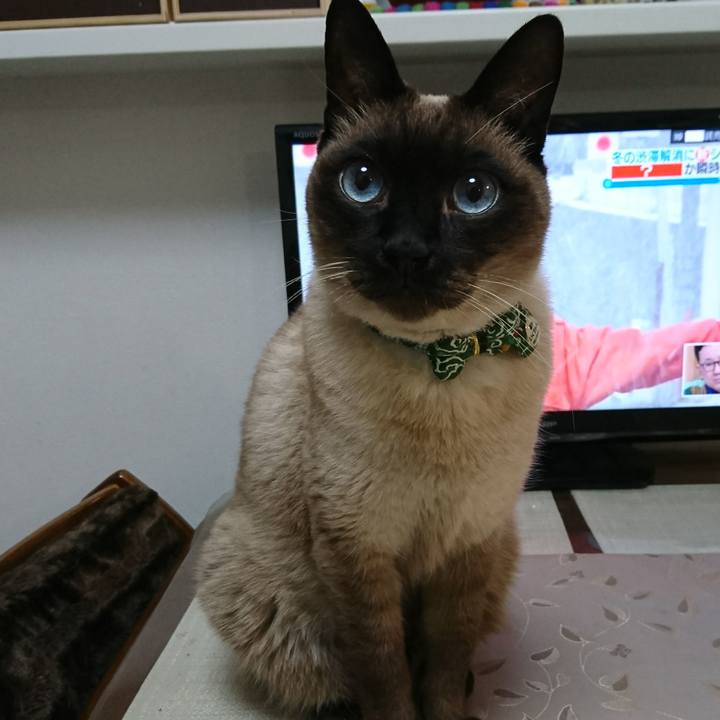 8f121931 bcaa 4af3 aa3f f360907dbddd 1515965482631