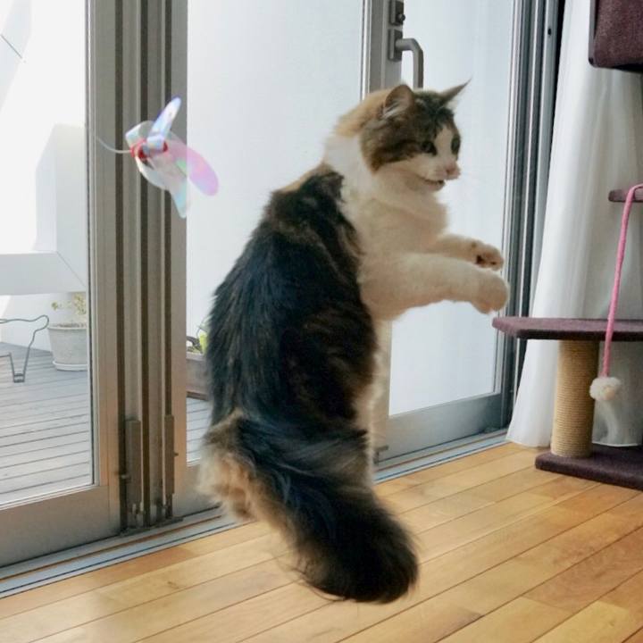 8f125f5b 53ef 4ac4 8729 b7a315be4a02 1551012138135